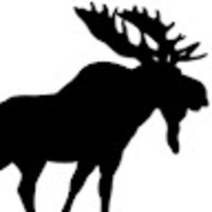 Meet your Posher, L.